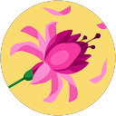 Julie Boyle profile picture